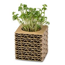 Action Office Werbepack Neuheiten Wachsende Werbung!